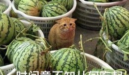 吃瓜爆料最新,神秘事件背后真相大揭秘！